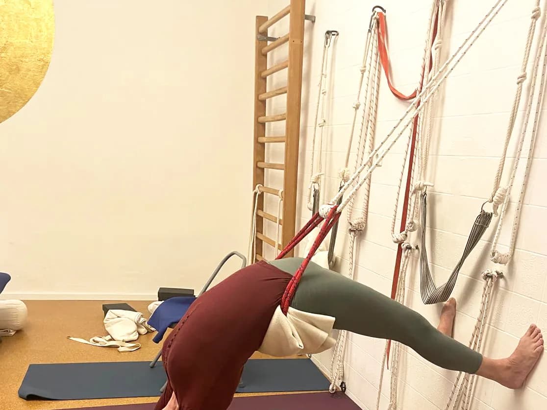 Iyengar Yoga Wall Rope Work IV