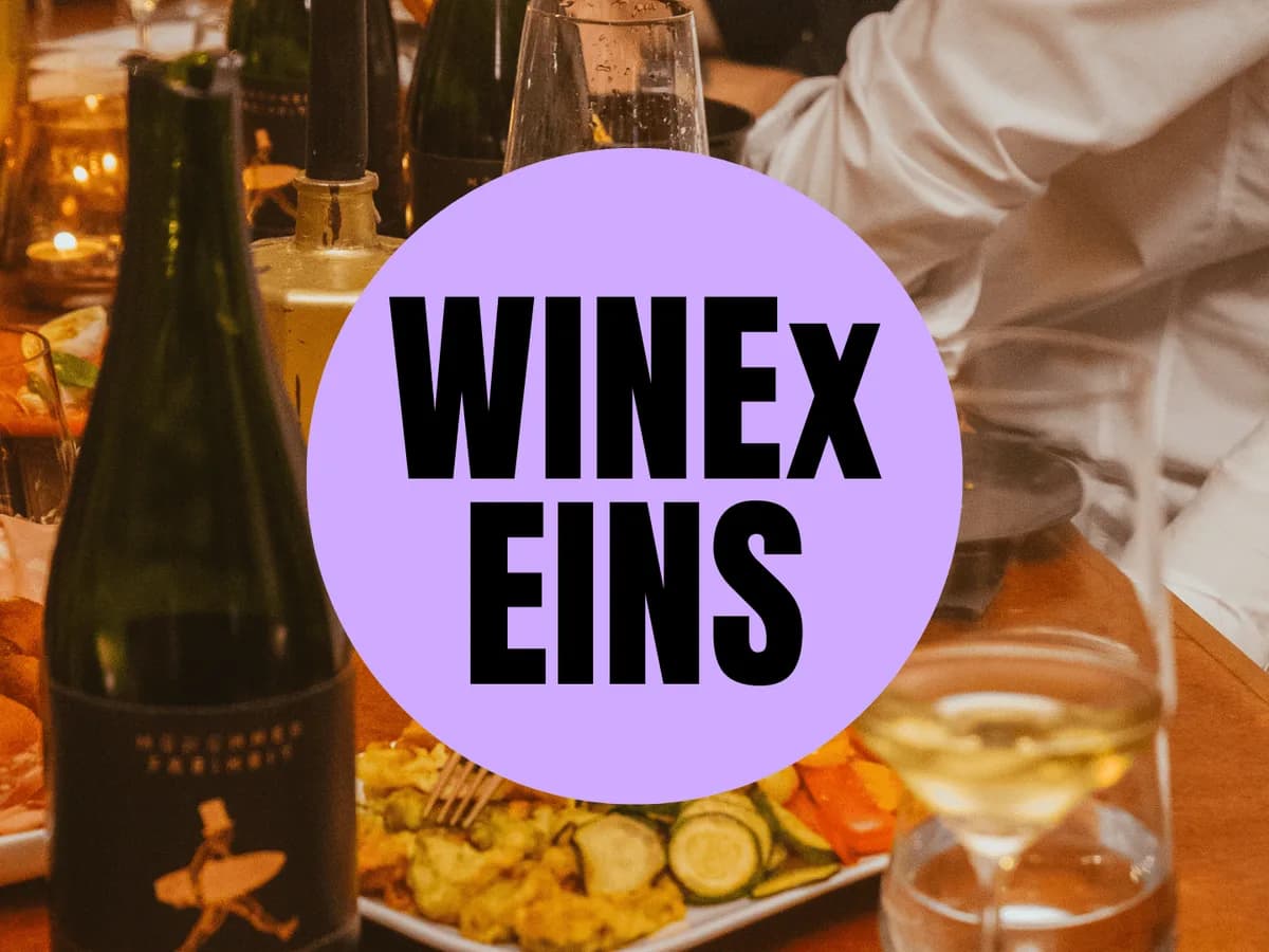Wine Basics: Learning by Drinking